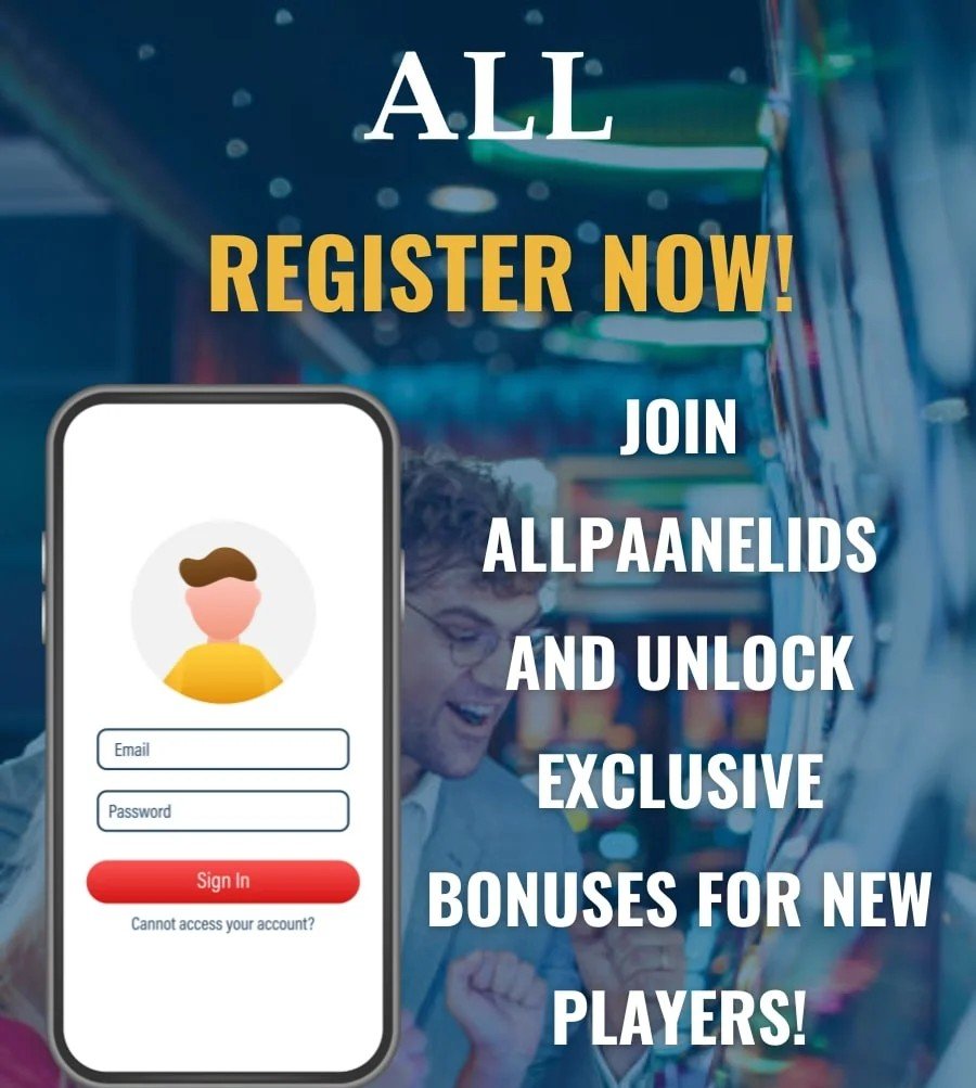 Safe Payments and Transaction Options at Allpaanel